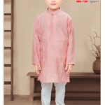 Traditional Kurta suit